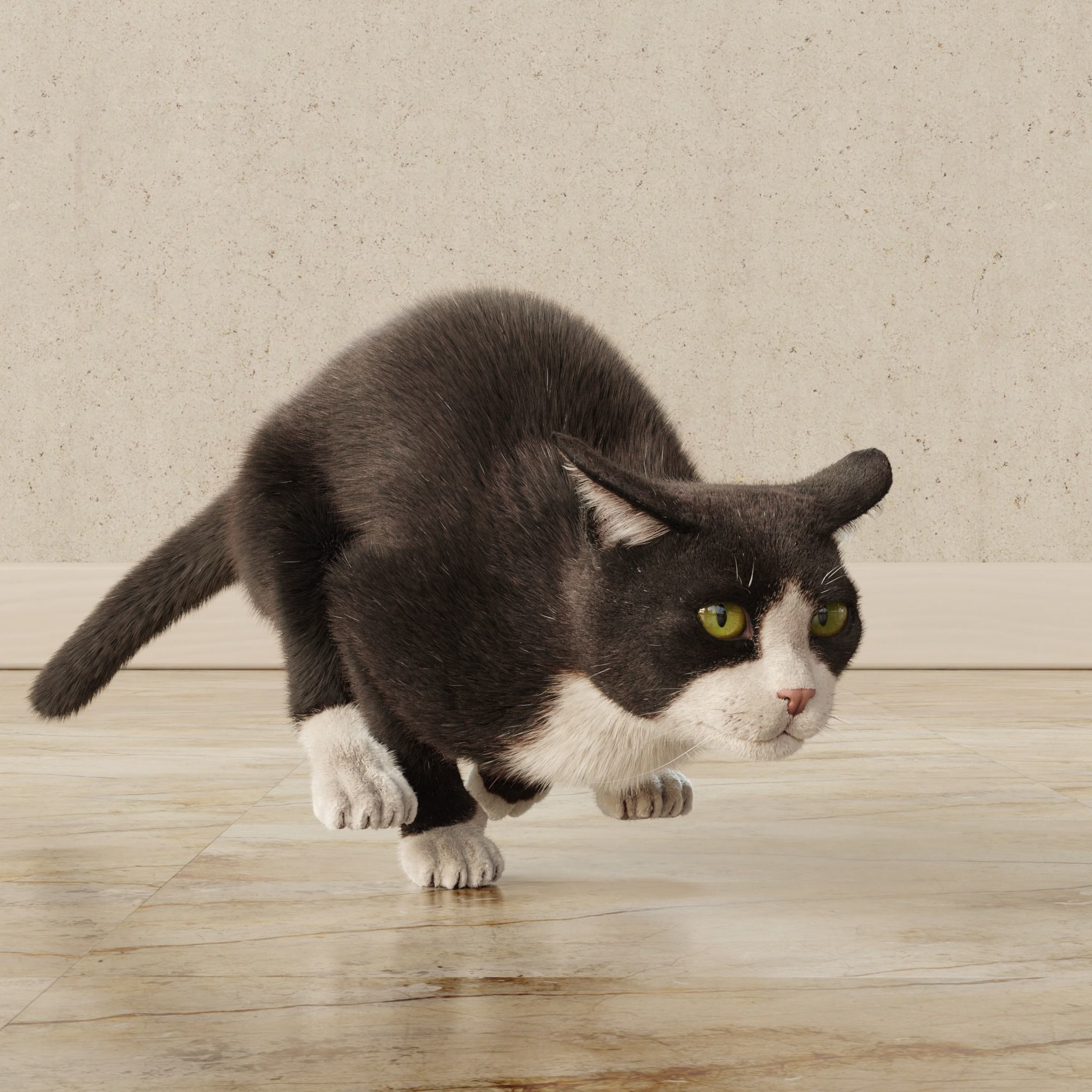  Cat Tuxedo Rigged Animated 3D model_16