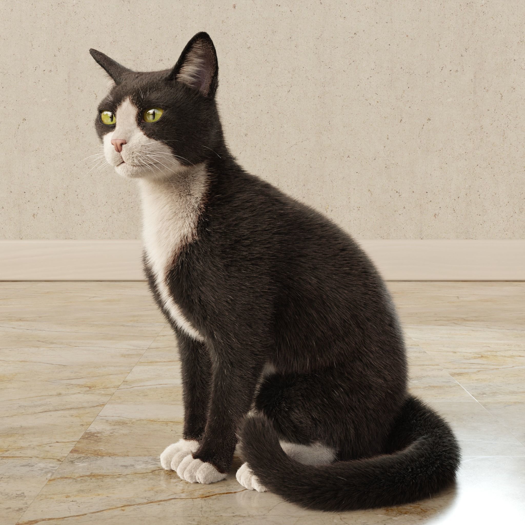  Cat Tuxedo Rigged Animated 3D model_14