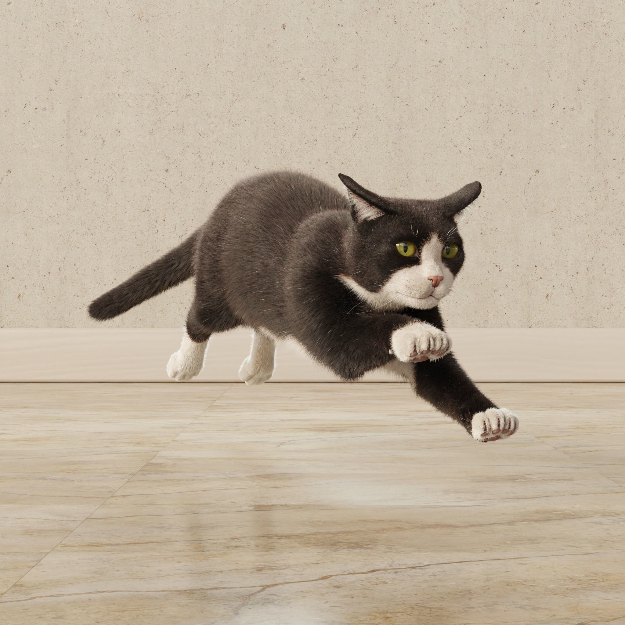  Cat Tuxedo Rigged Animated 3D model_18