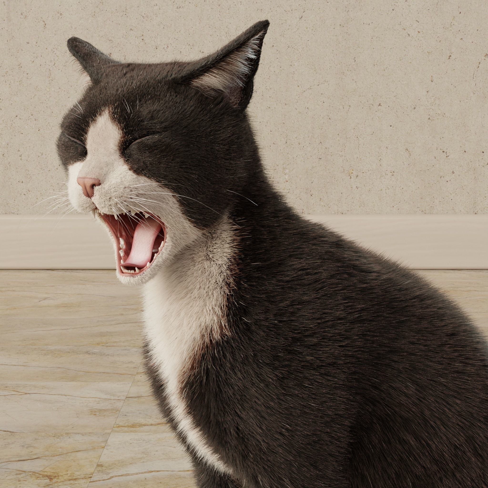  Cat Tuxedo Rigged Animated 3D model_20
