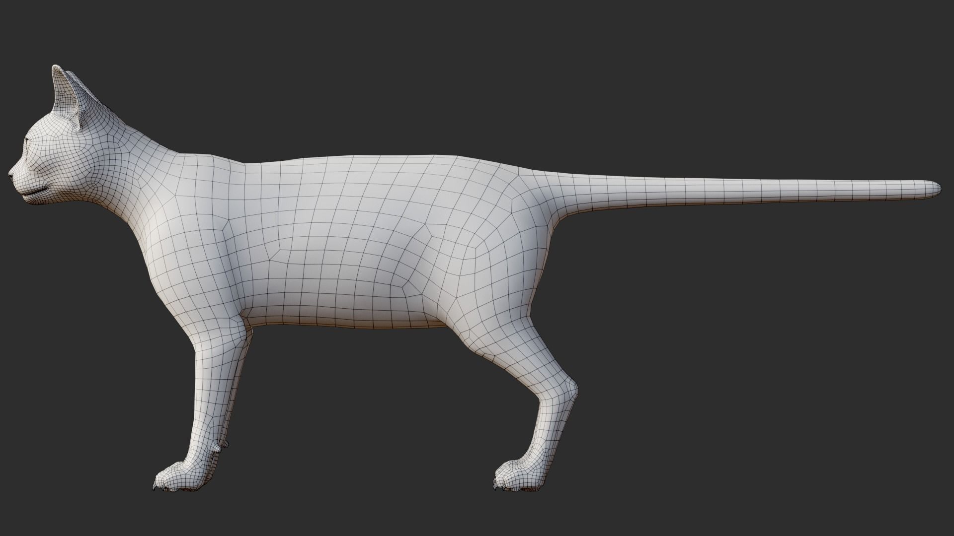  Cat Tuxedo Rigged Animated 3D model_21