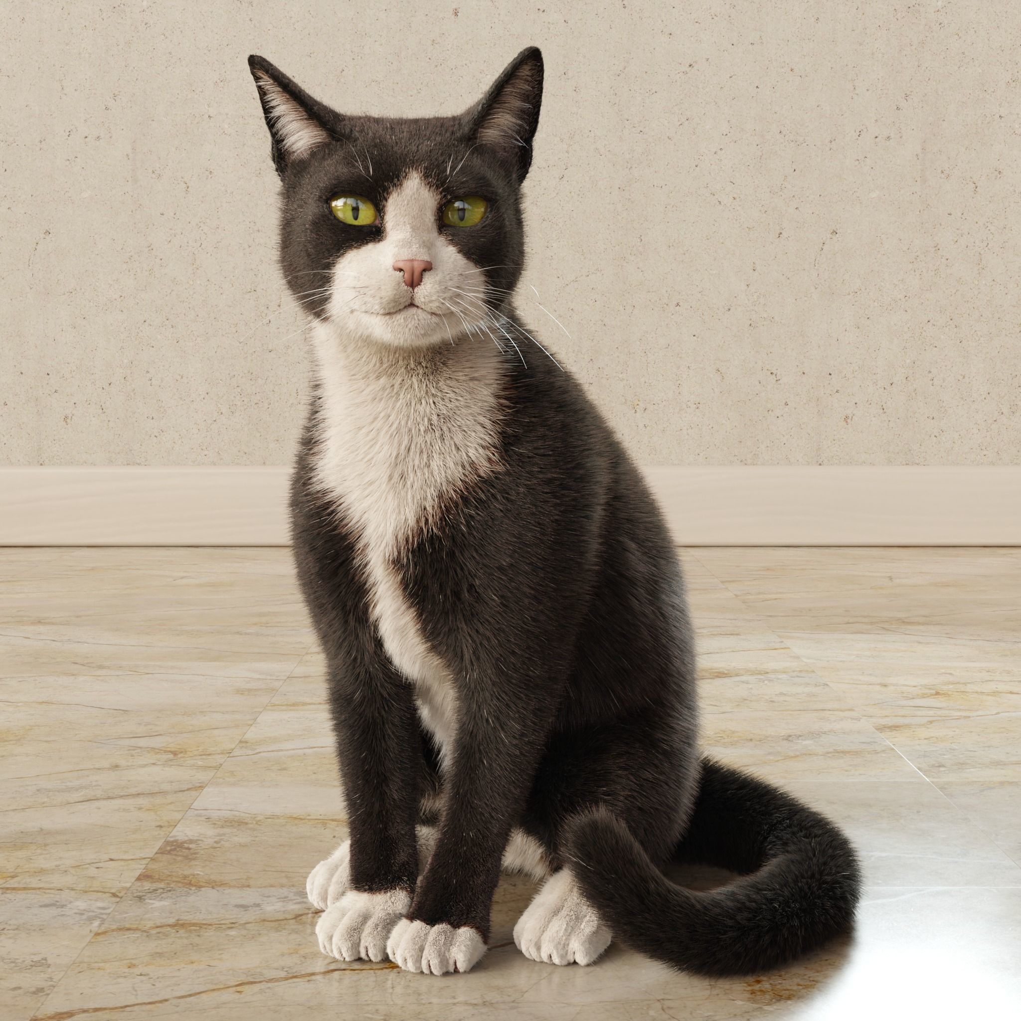  Cat Tuxedo Rigged Animated 3D model_13