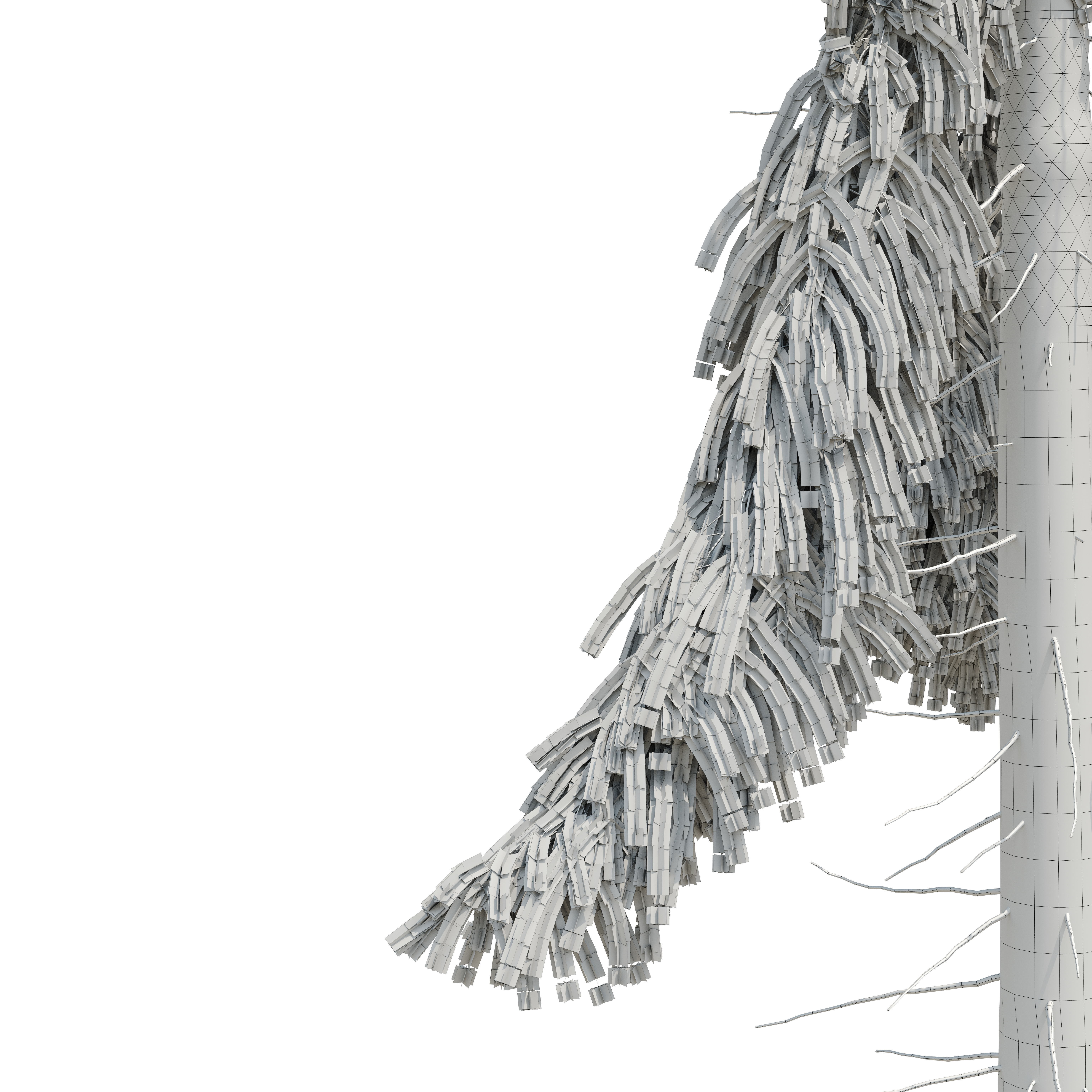 Spruce 23m 3D model_11