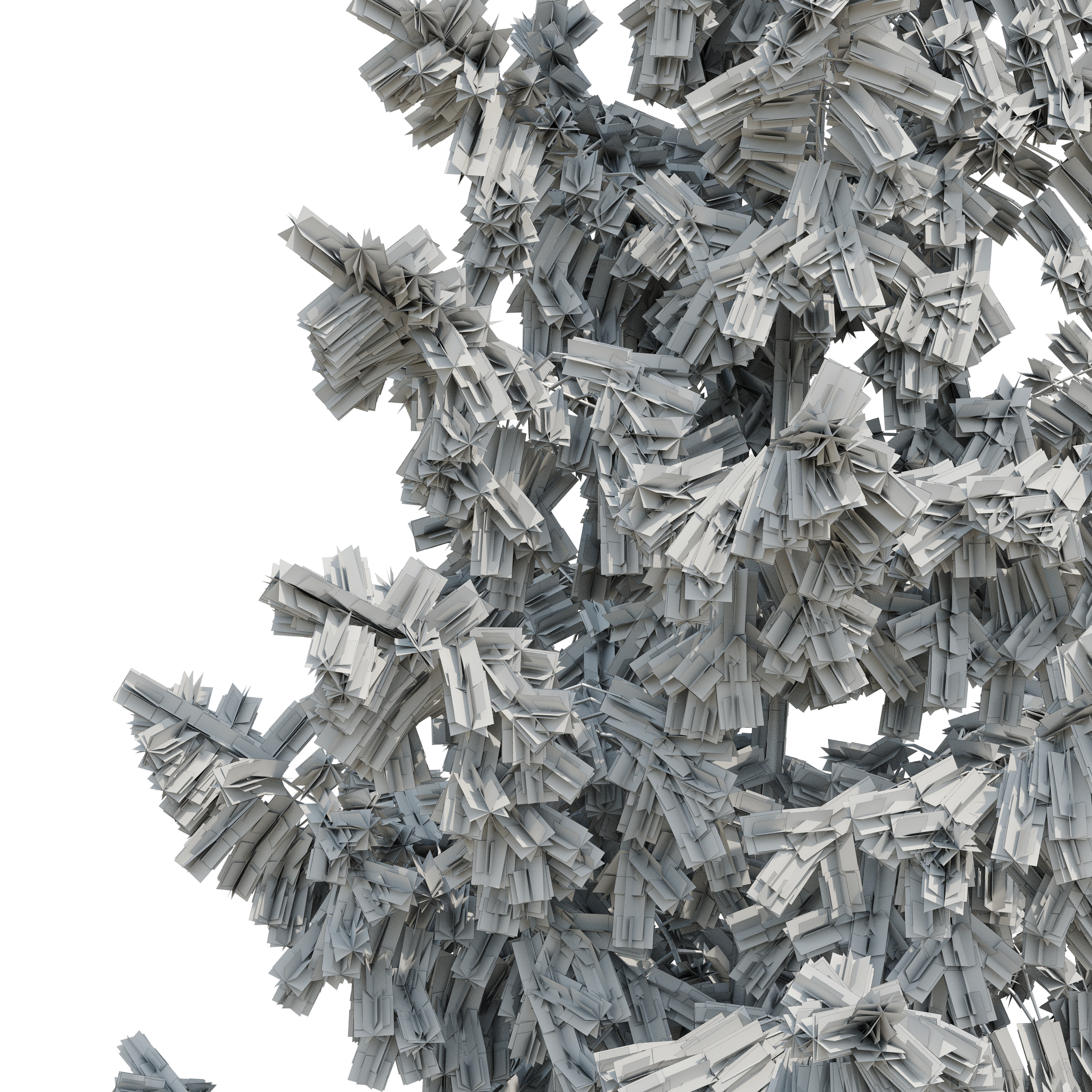 Spruce 23m 3D model_13