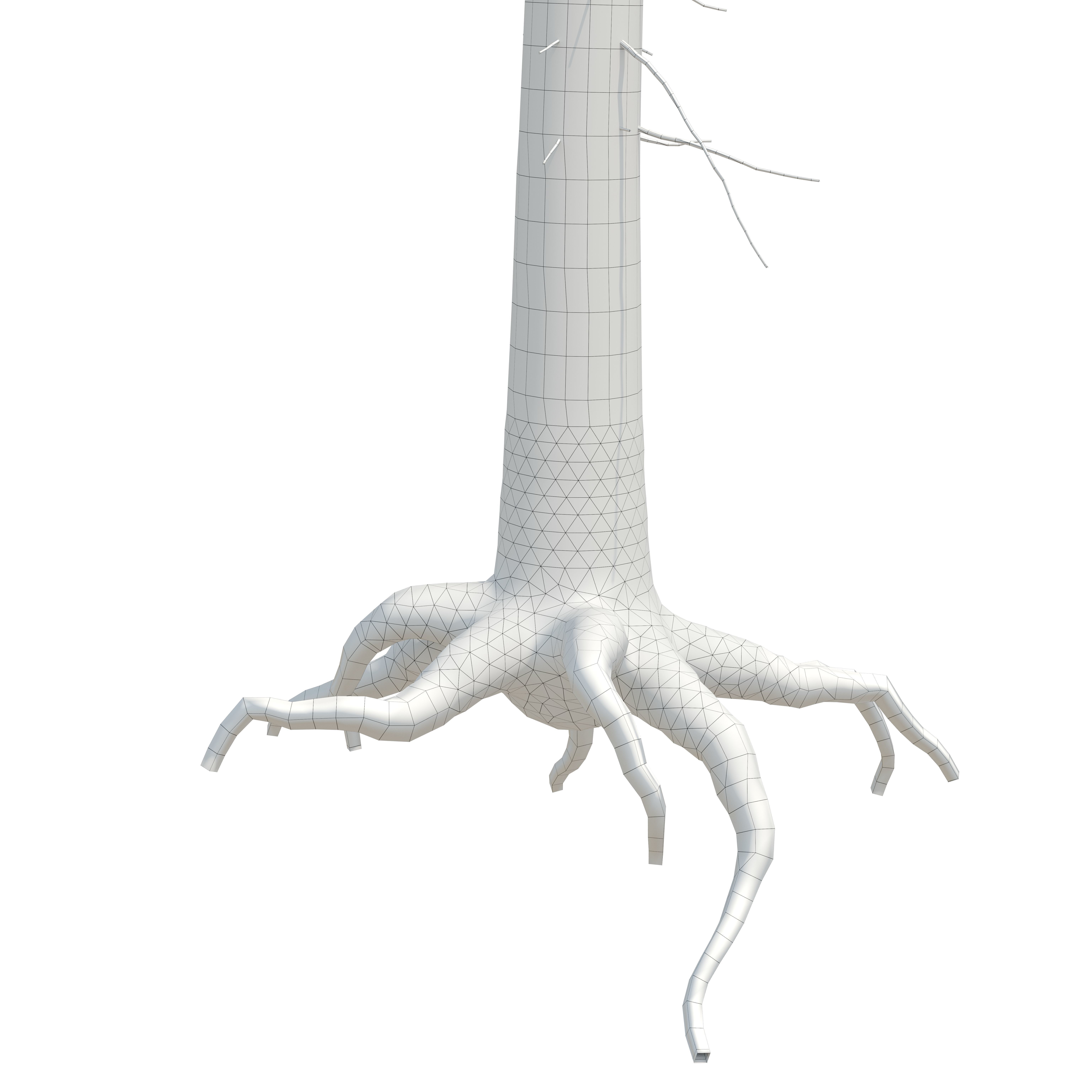 Spruce 23m 3D model_10