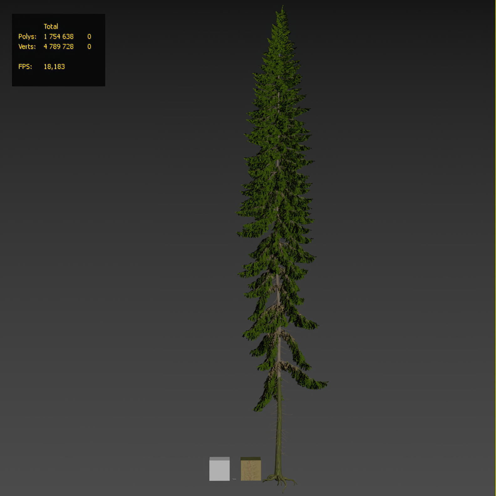 Spruce 23m 3D model_21