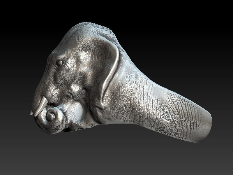 Elephant Ring 3D print model_3