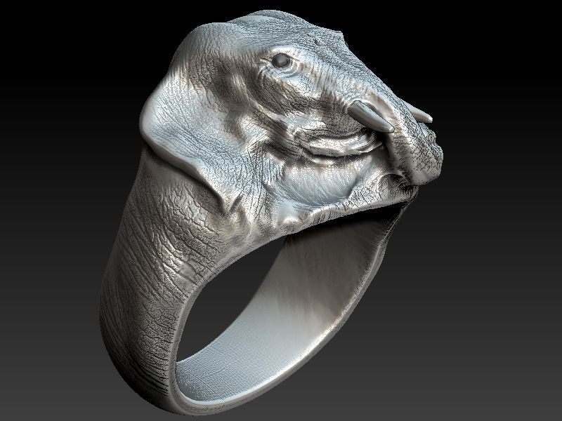 Elephant Ring 3D print model_2