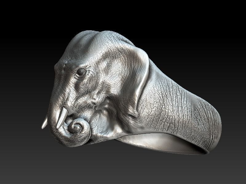 Elephant Ring 3D print model_1