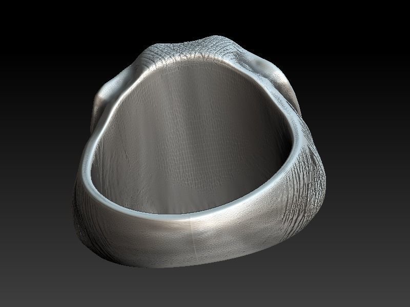 Elephant Ring 3D print model_4