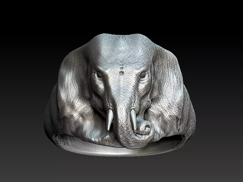 Elephant Ring 3D print model_0