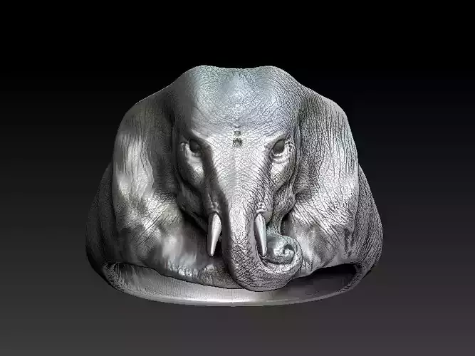 Elephant Ring