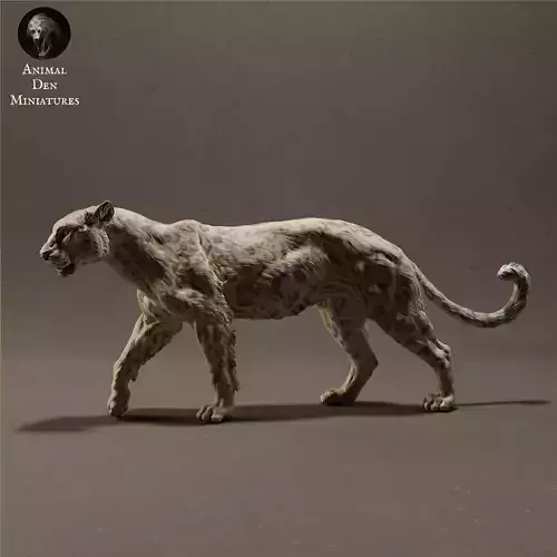 Leopard 3D print model
