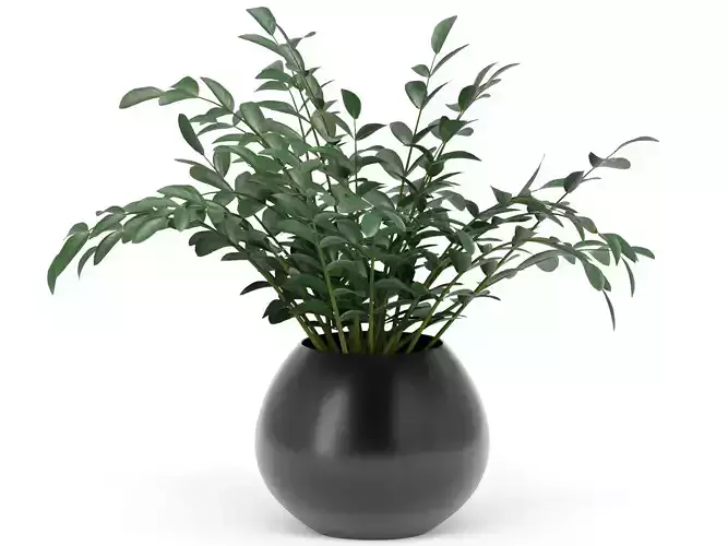 Green plant bouquet