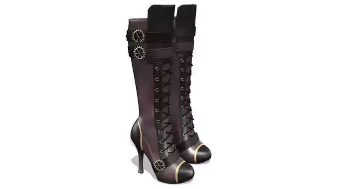 Knee Length High Heel Steampunk Boots
