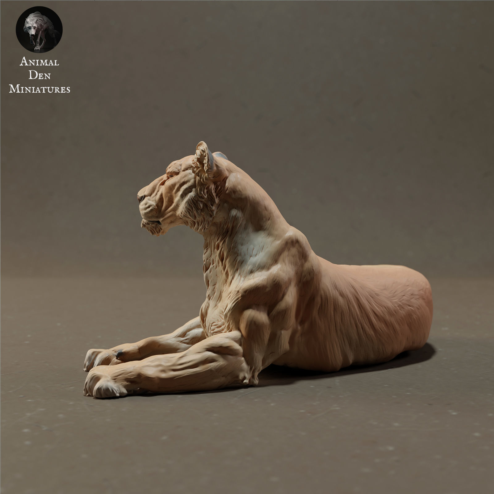 Lioness Lying 3D print model_3