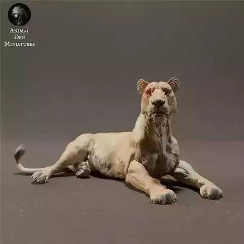 Lioness Lying 3D print model