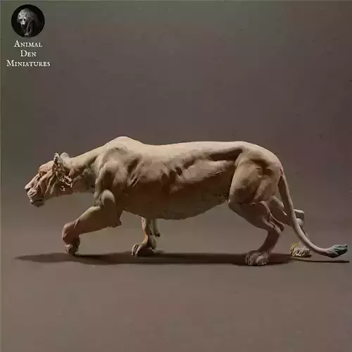 Lioness Sneeking