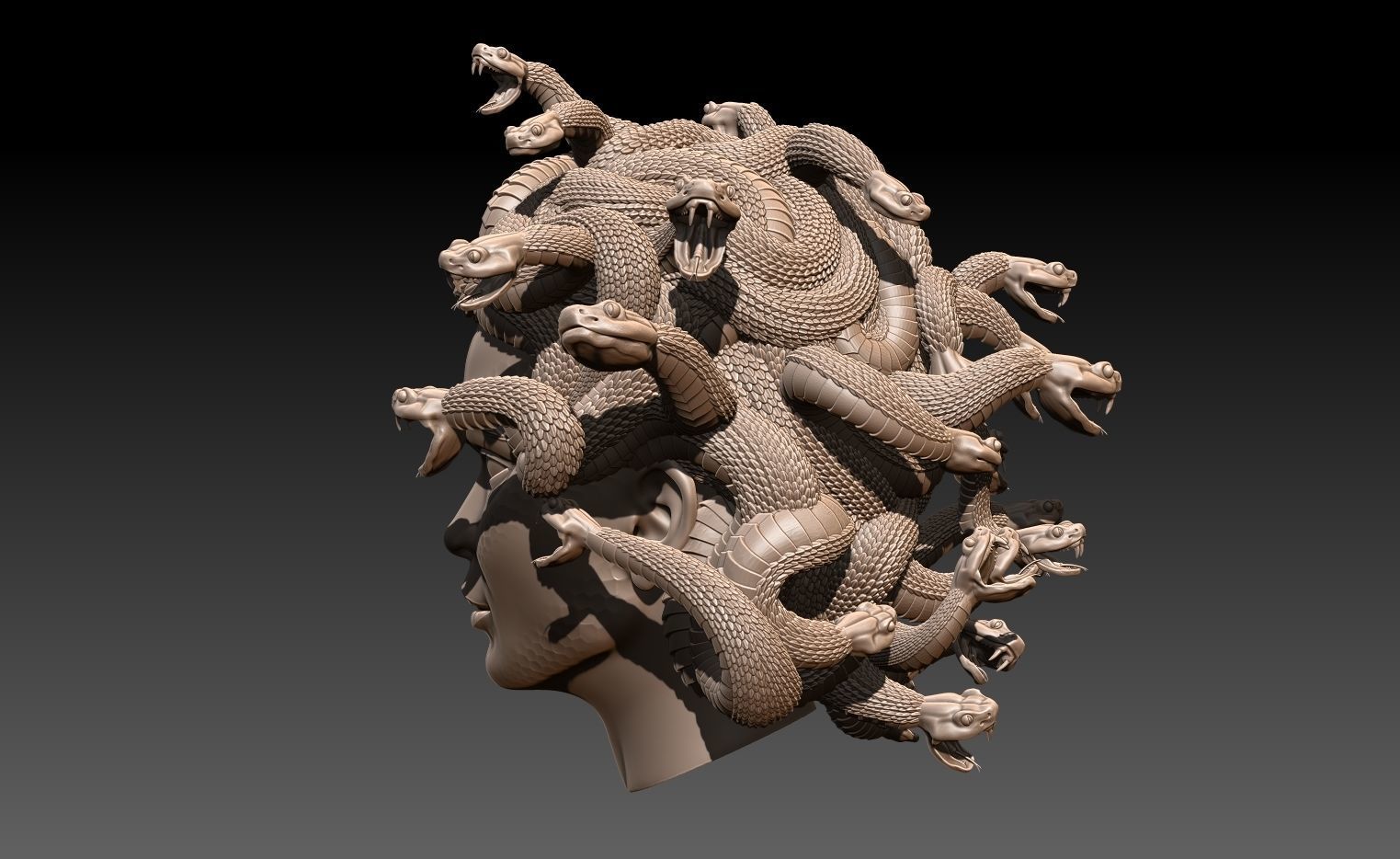 Gorgona 3D print model_2