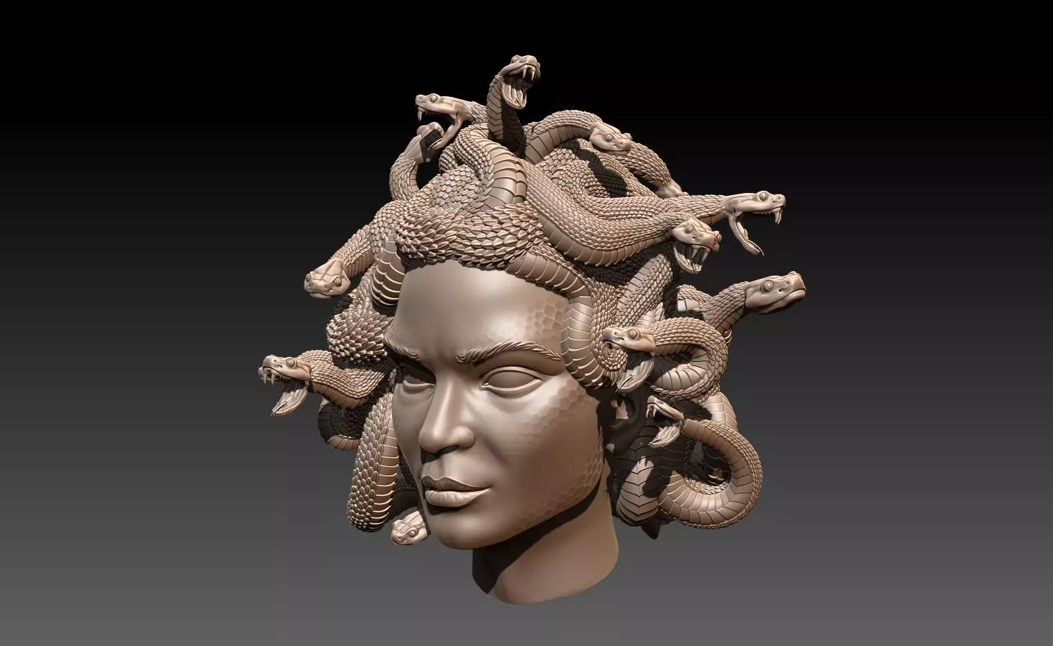 Gorgona 3D print model_0