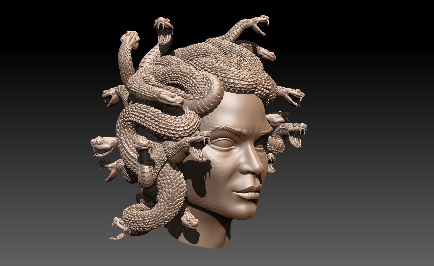 Gorgona 3D print model_1