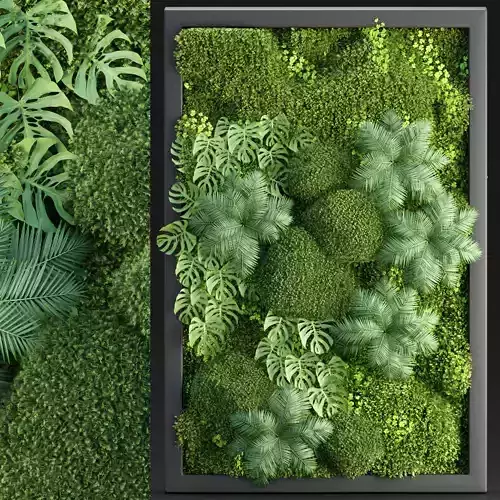 Vertical moss garden vol 186