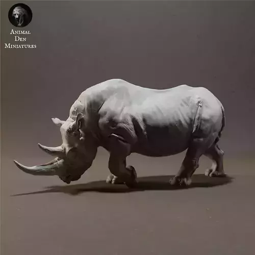 Black Rhino  3D print model