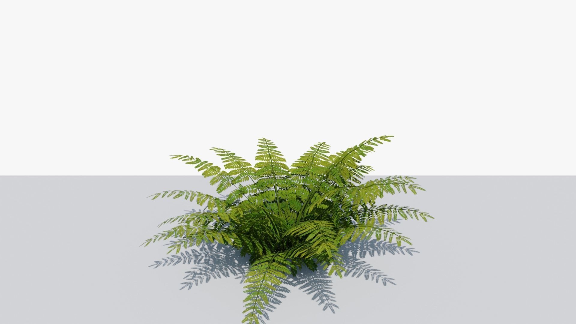 Fern Bush v1 Low-poly 3D model_3