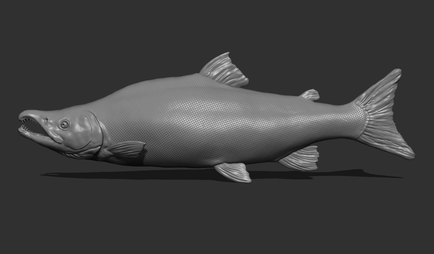 Sockeye salmon 3D model 3D printable | CGTrader