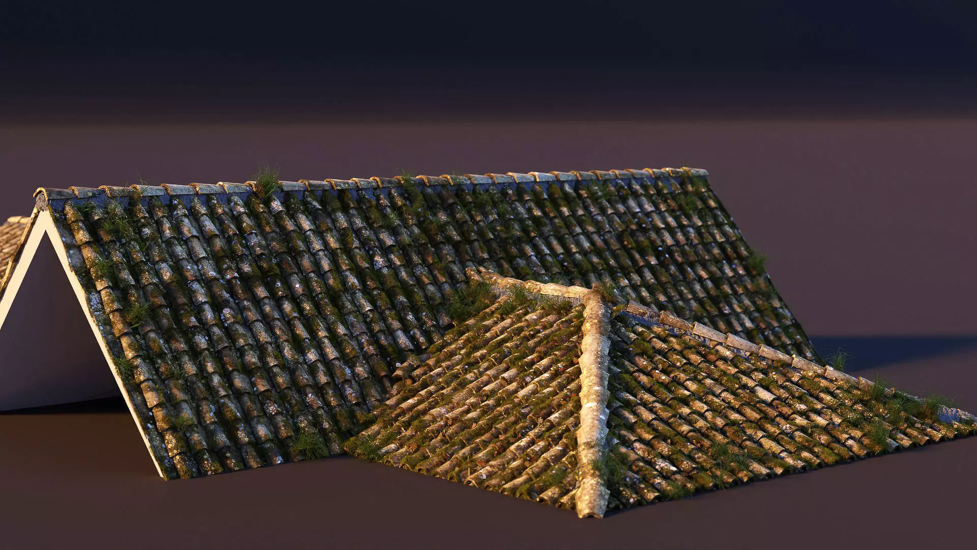 RoofTop - Tile Realistic - High and Low  Low-poly 3D model_0