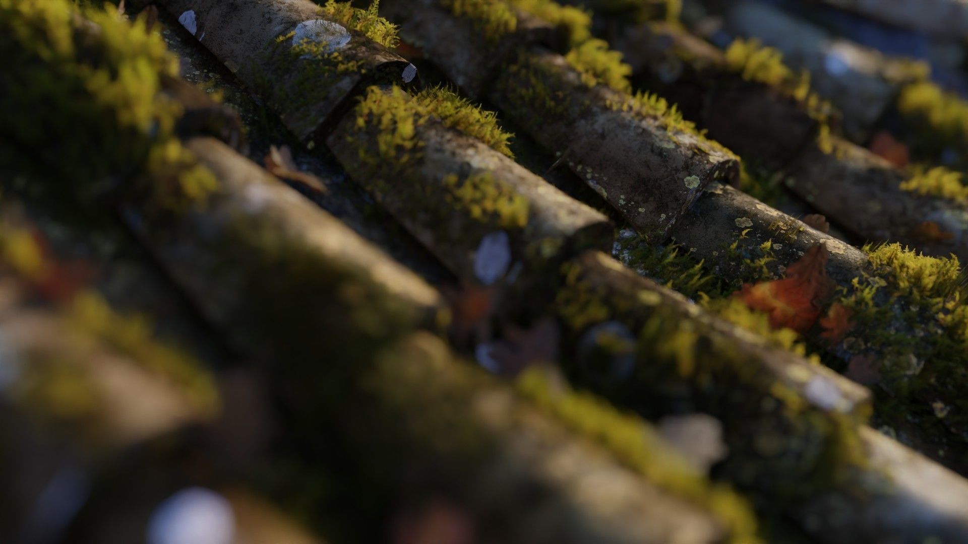 RoofTop - Tile Realistic - High and Low  Low-poly 3D model_6