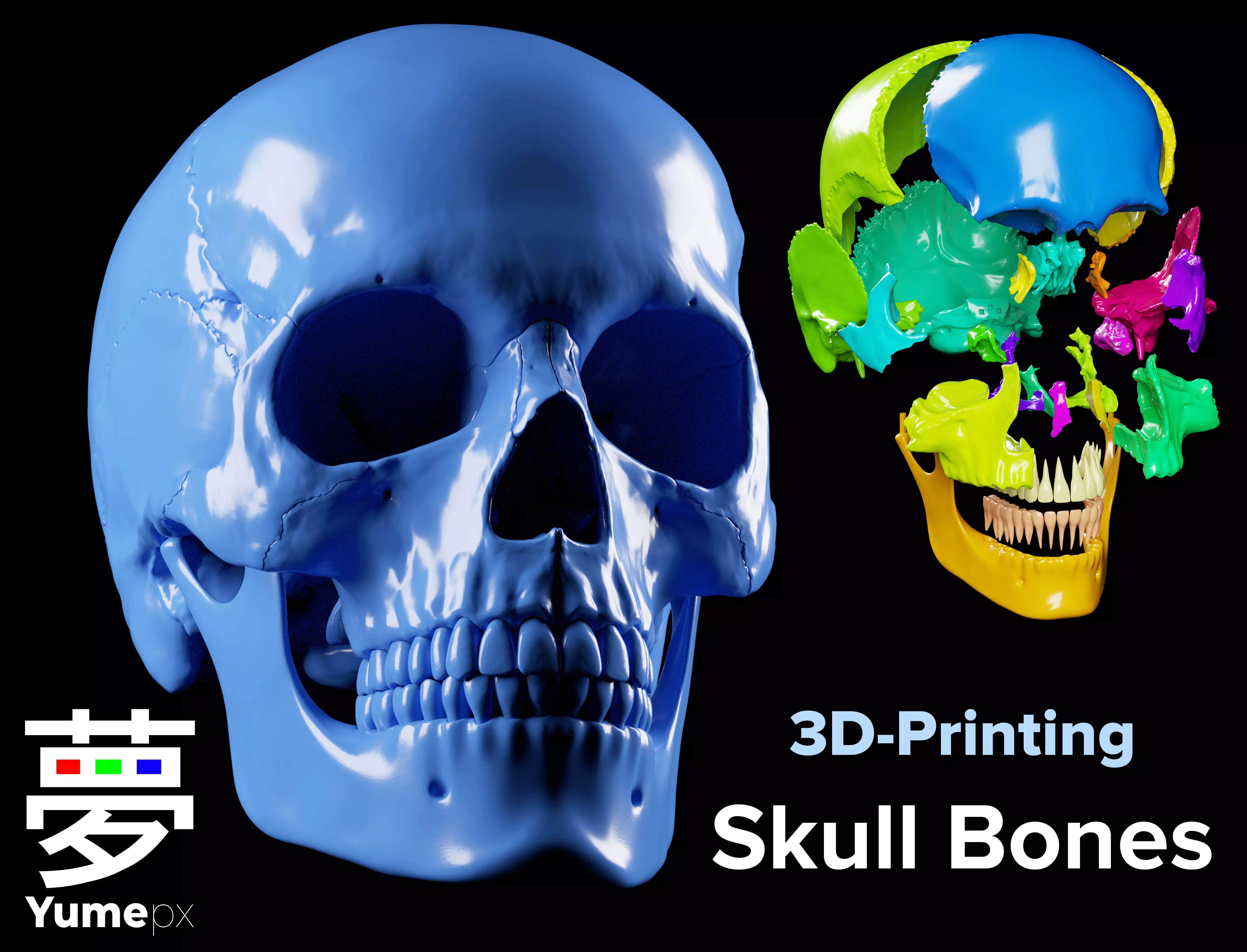Skull Bones - 3D Printing 3D print model