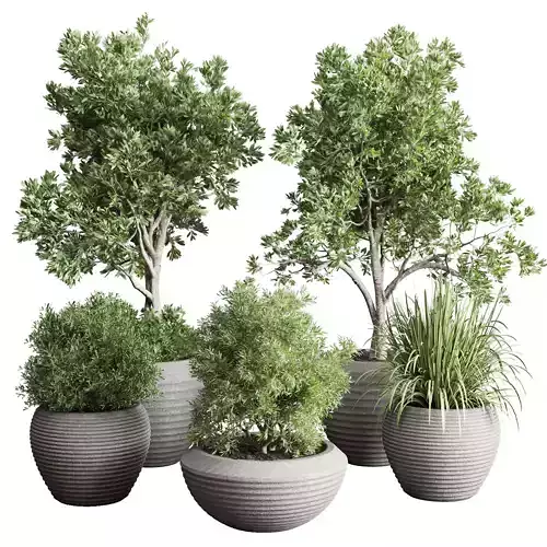 indoor plant set 349 plant tree grass vase dirty concrete Low-poly 3D model