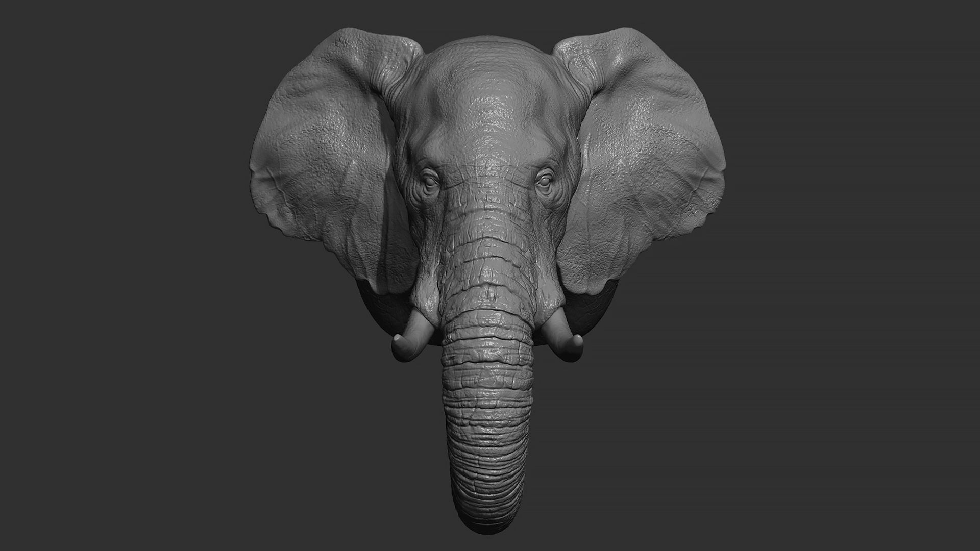 Elephant head 3D print model_11