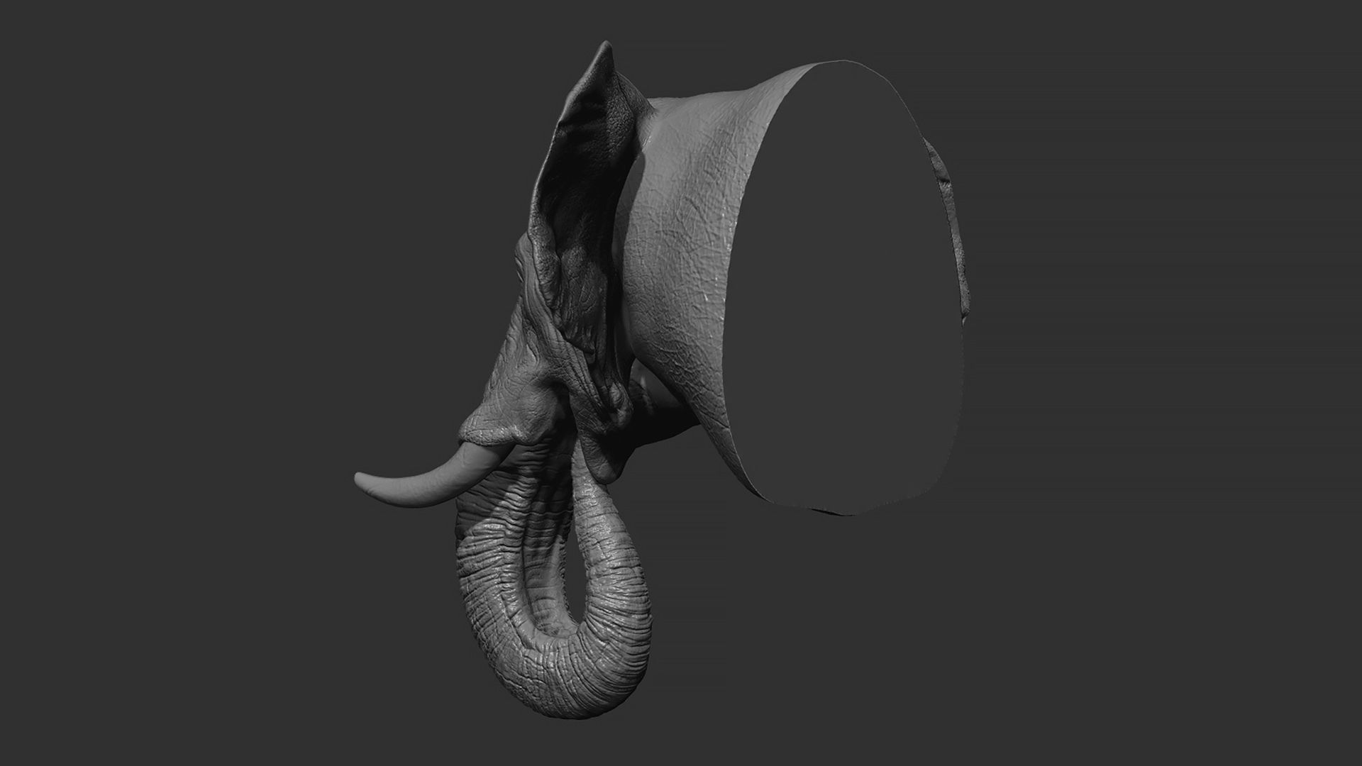 Elephant head 3D print model_7