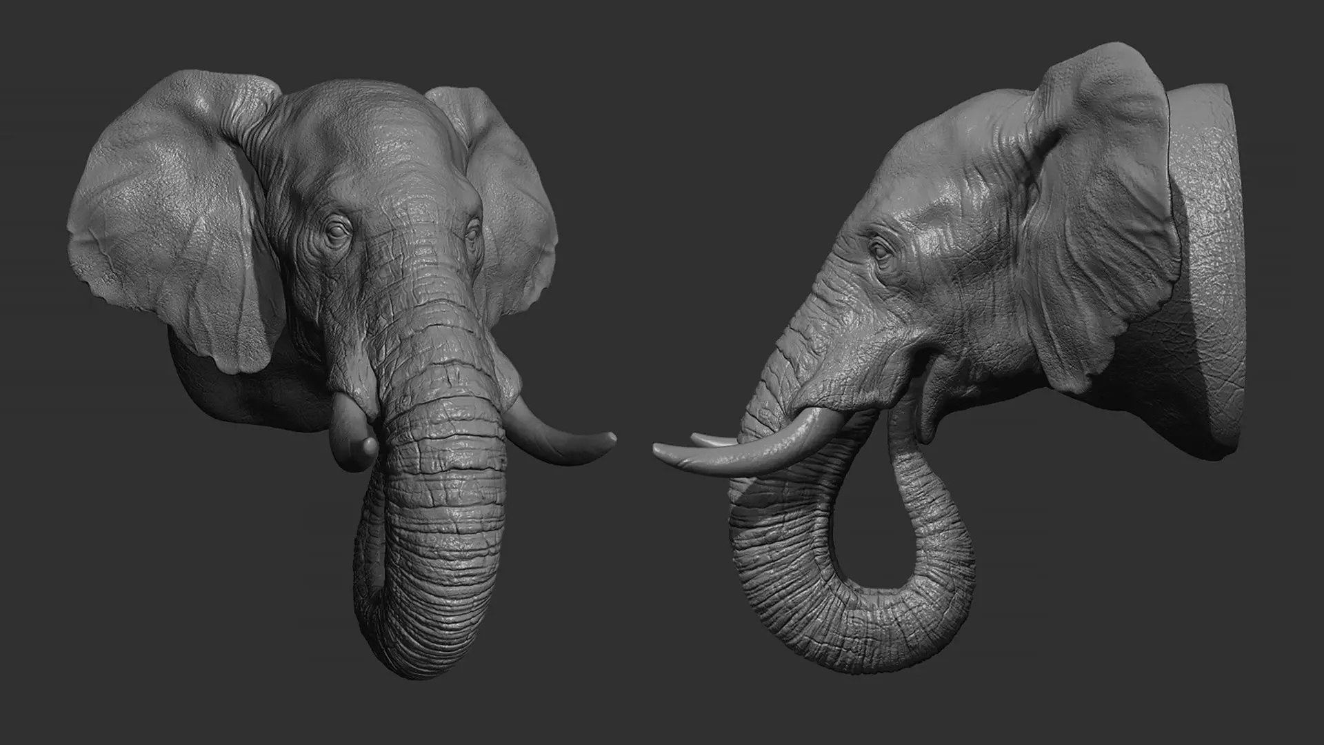 Elephant head 3D print model_0