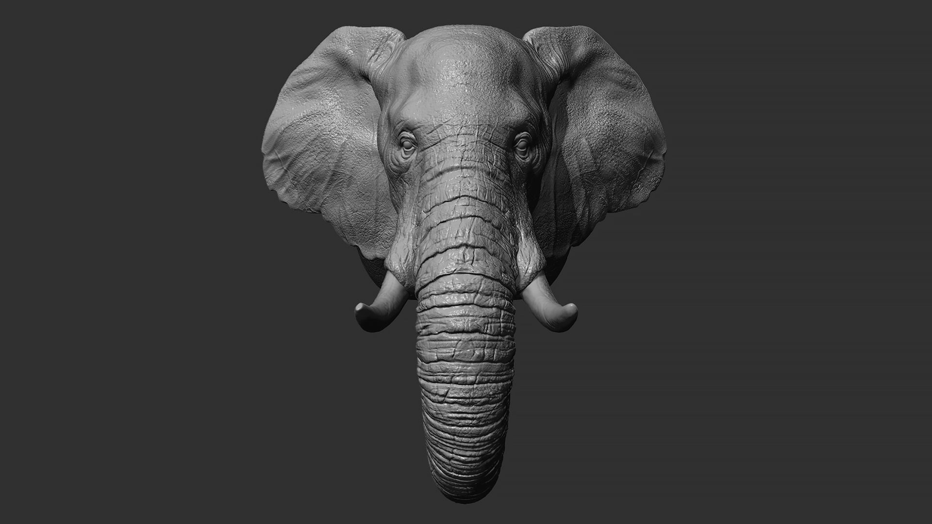 Elephant head 3D print model_14