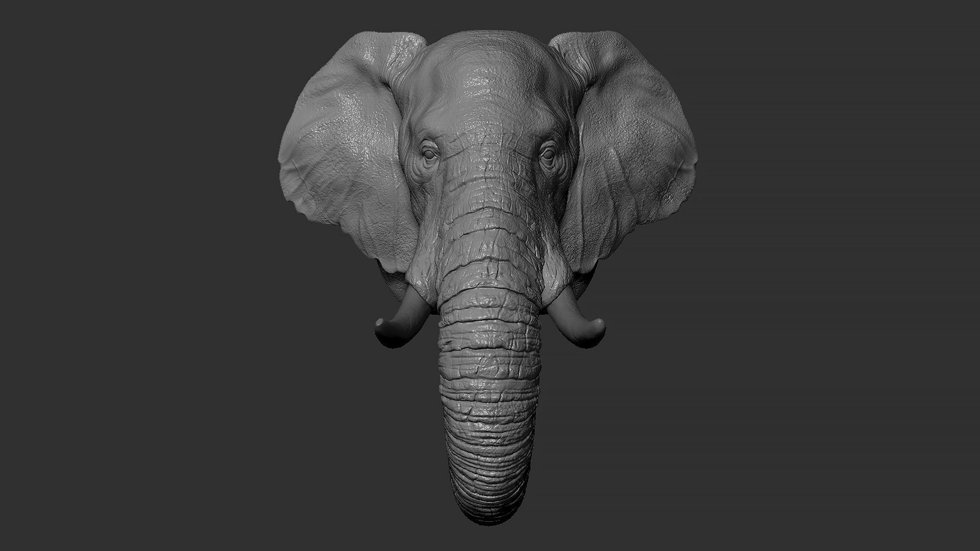 Elephant head 3D print model_13