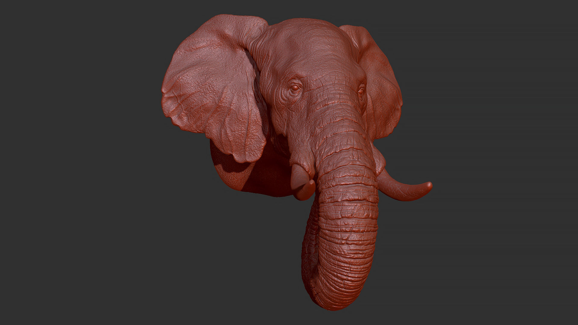 Elephant head 3D print model_4