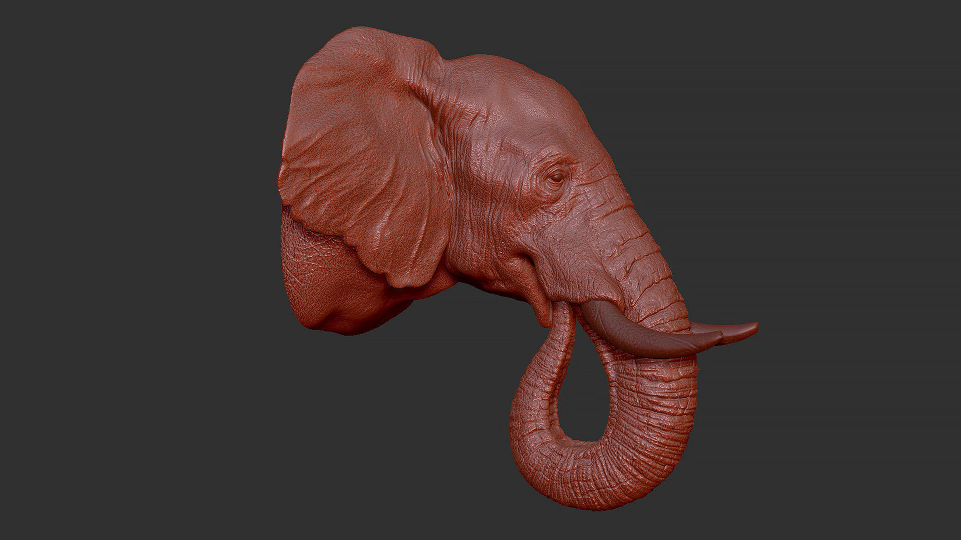 Elephant head 3D print model_5