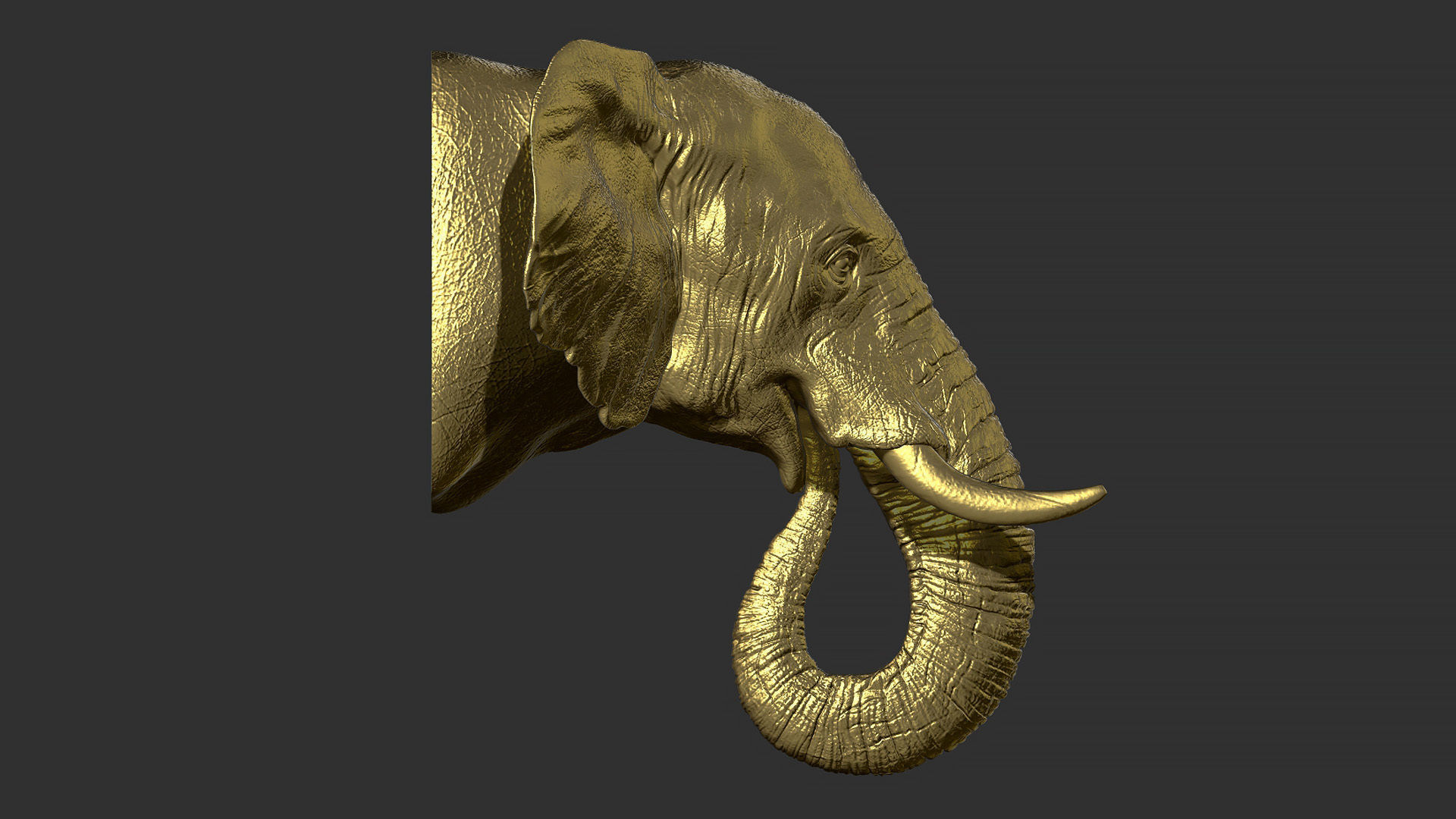 Elephant head 3D print model_2