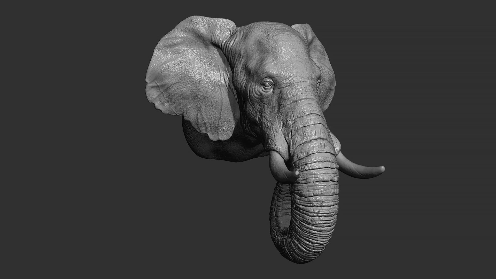Elephant head 3D print model_15