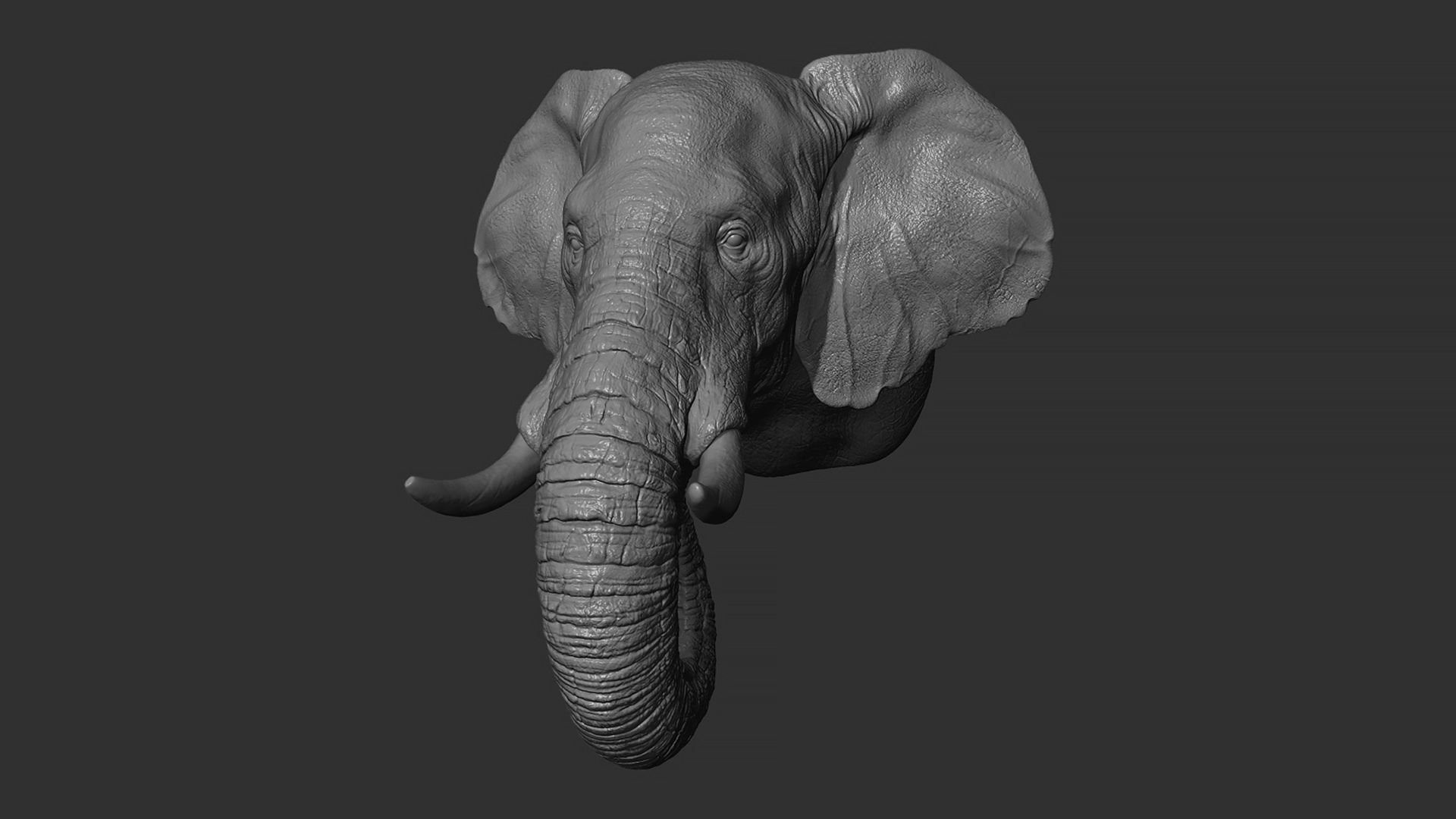 Elephant head 3D print model_3