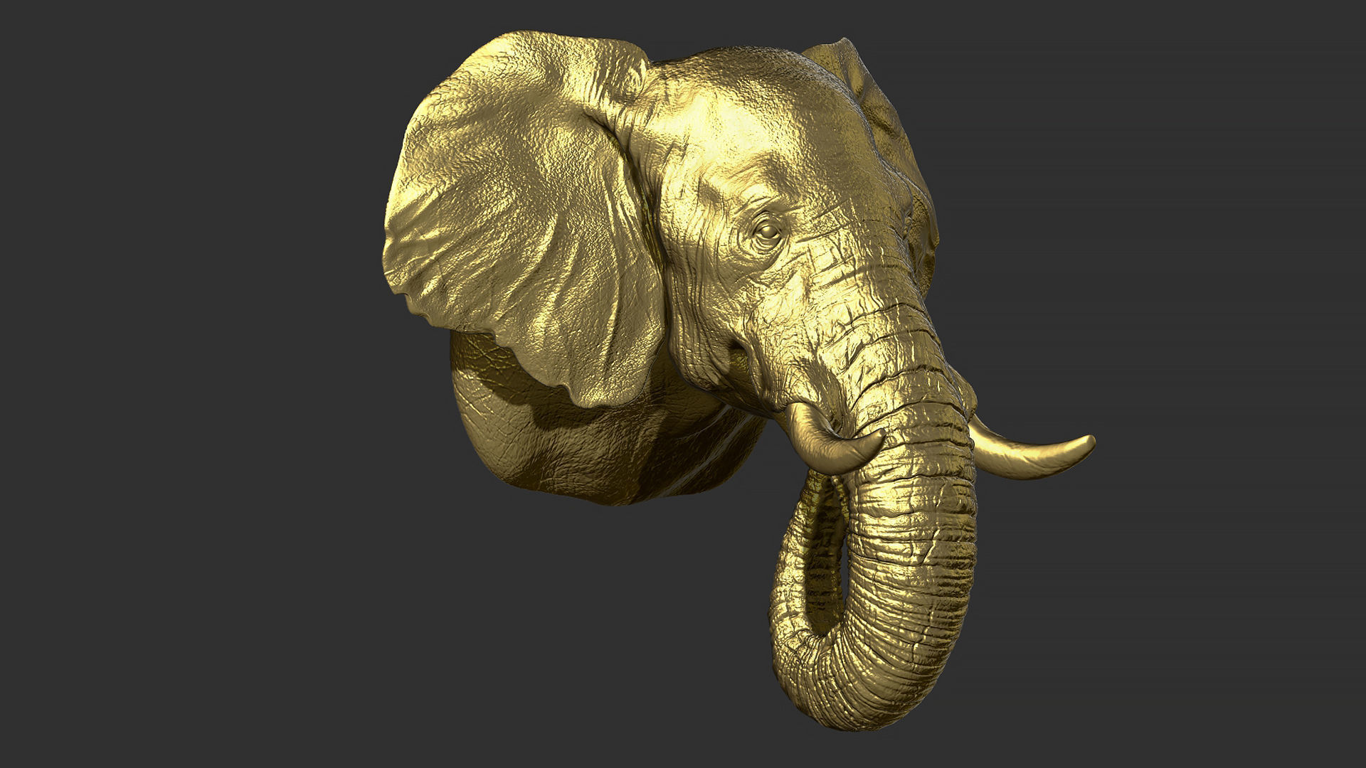 Elephant head 3D print model_1