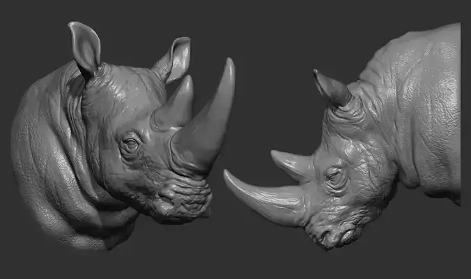 Rhinoceros head 3D print model