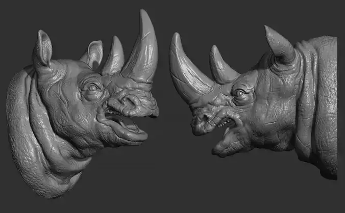 Rhinoceros angry head