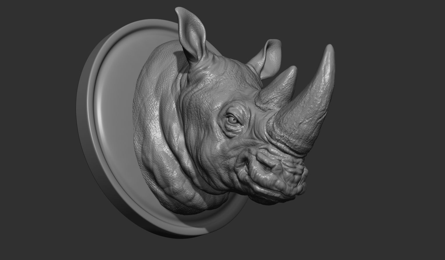 Rhinoceros grin head 3D print model_12