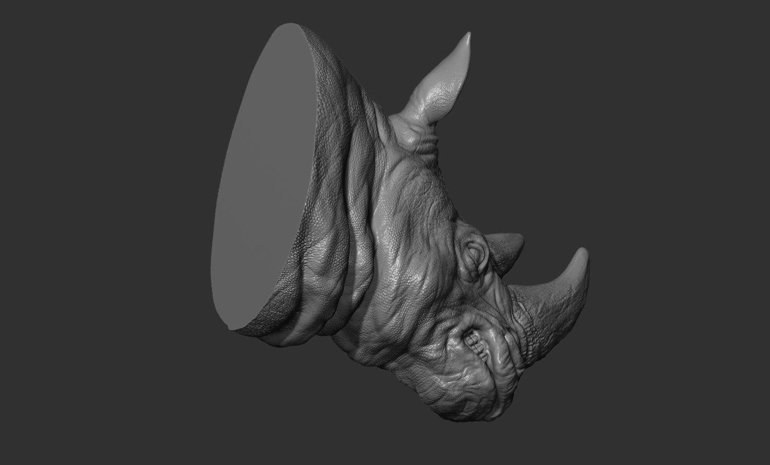 Rhinoceros grin head 3D print model_19
