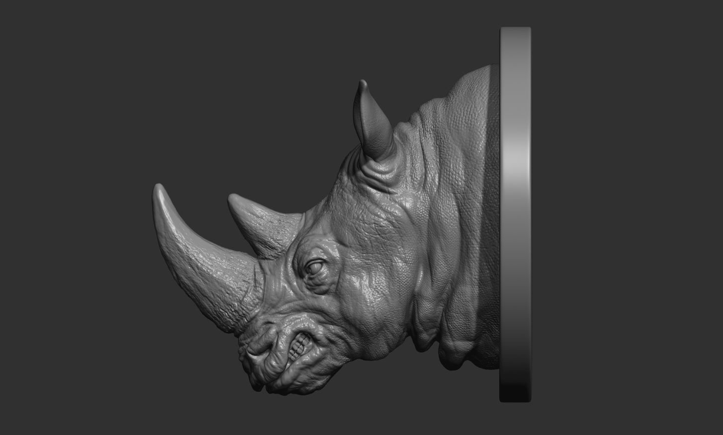 Rhinoceros grin head 3D print model_8