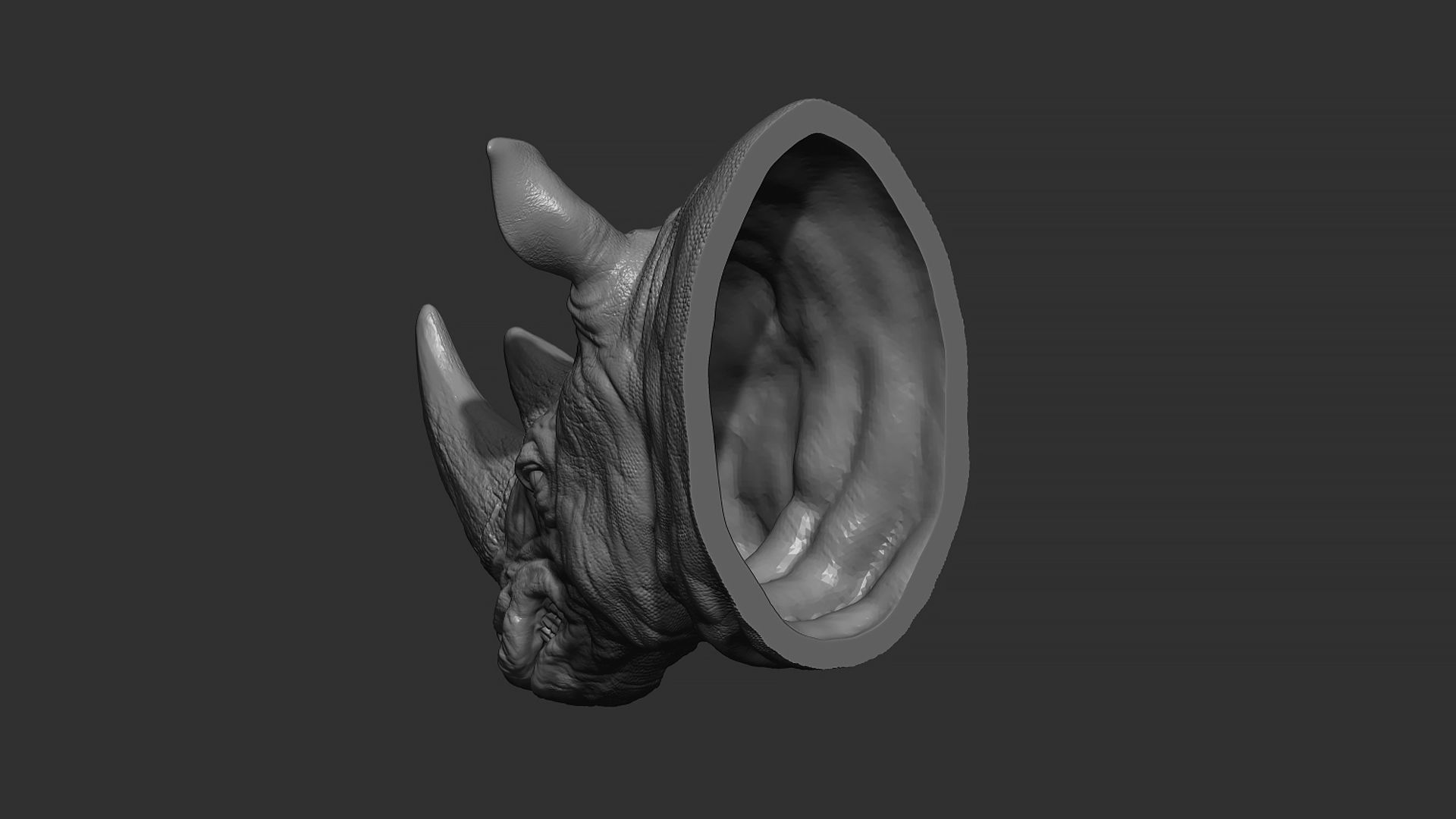 Rhinoceros grin head 3D print model_23